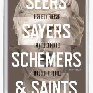 SEERS, SAYERS, SCHEMERS and SAINTS (Ebook)