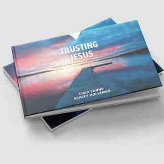 image of Trusting Jesus