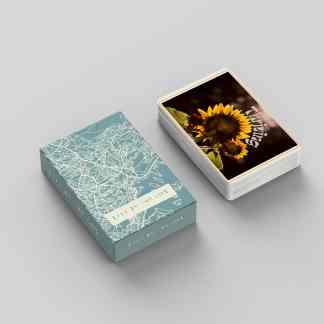 Life in the City Cards